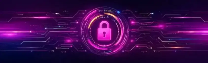 Vegasnow Mobile Security practices for Vegasnow phone view